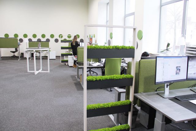 Our open space office - best for team work 🤓#lakameda #office #officedecor #green #printinghouse #greenoffice #openoffice #openofficedesign